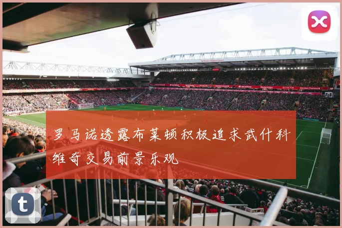 罗马诺透露布莱顿积极追求武什科维奇交易前景乐观