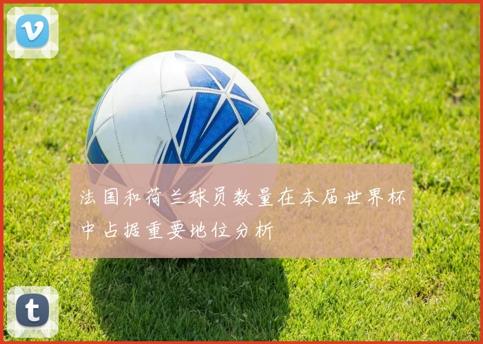 法国和荷兰球员数量在本届世界杯中占据重要地位分析